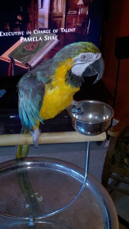 2012-03-02_18-54-48_165.jpg