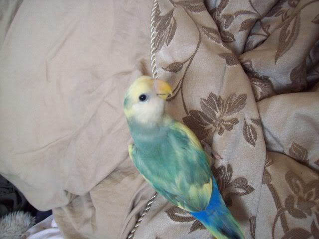 310_7754.jpg