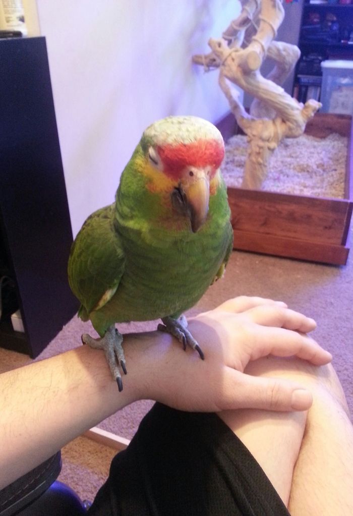 20130203_122056-1.jpg