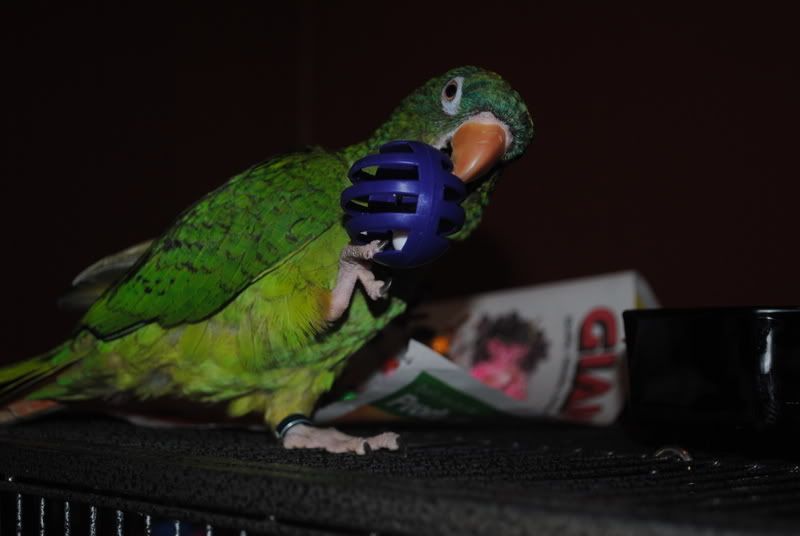 DSC_1182.jpg