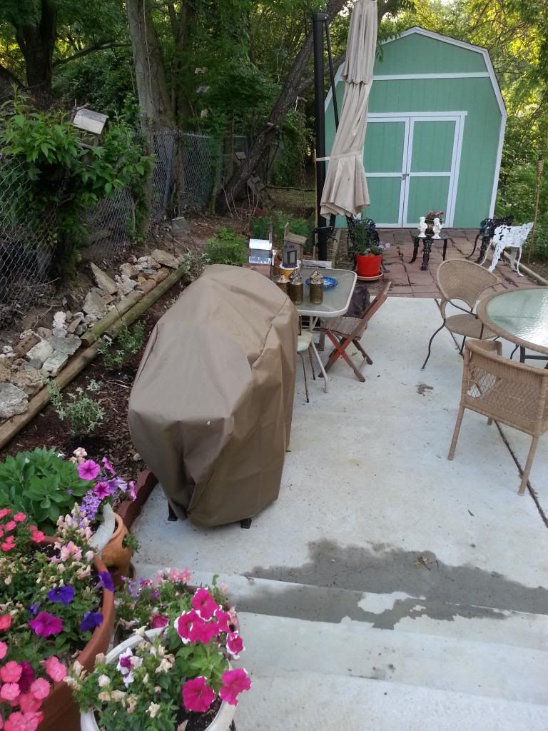 20140512_184737_zpsofwyvo35.jpg
