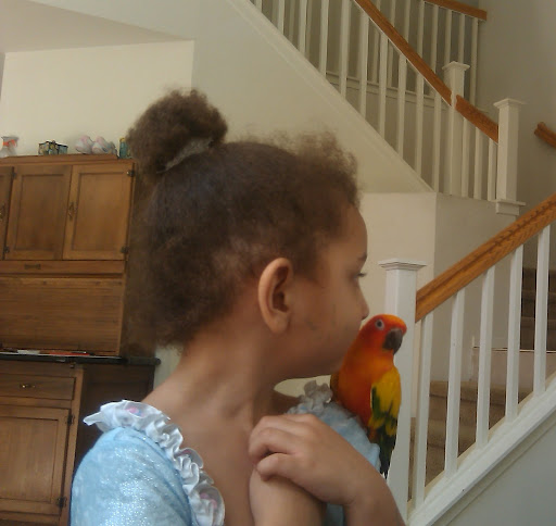 IMAG0082.jpg