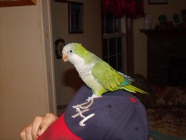 TuckandMaebell022.jpg