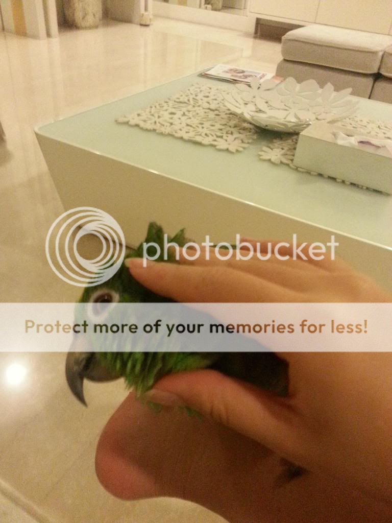 20131108_193806_zpsbe7f0f6e.jpg