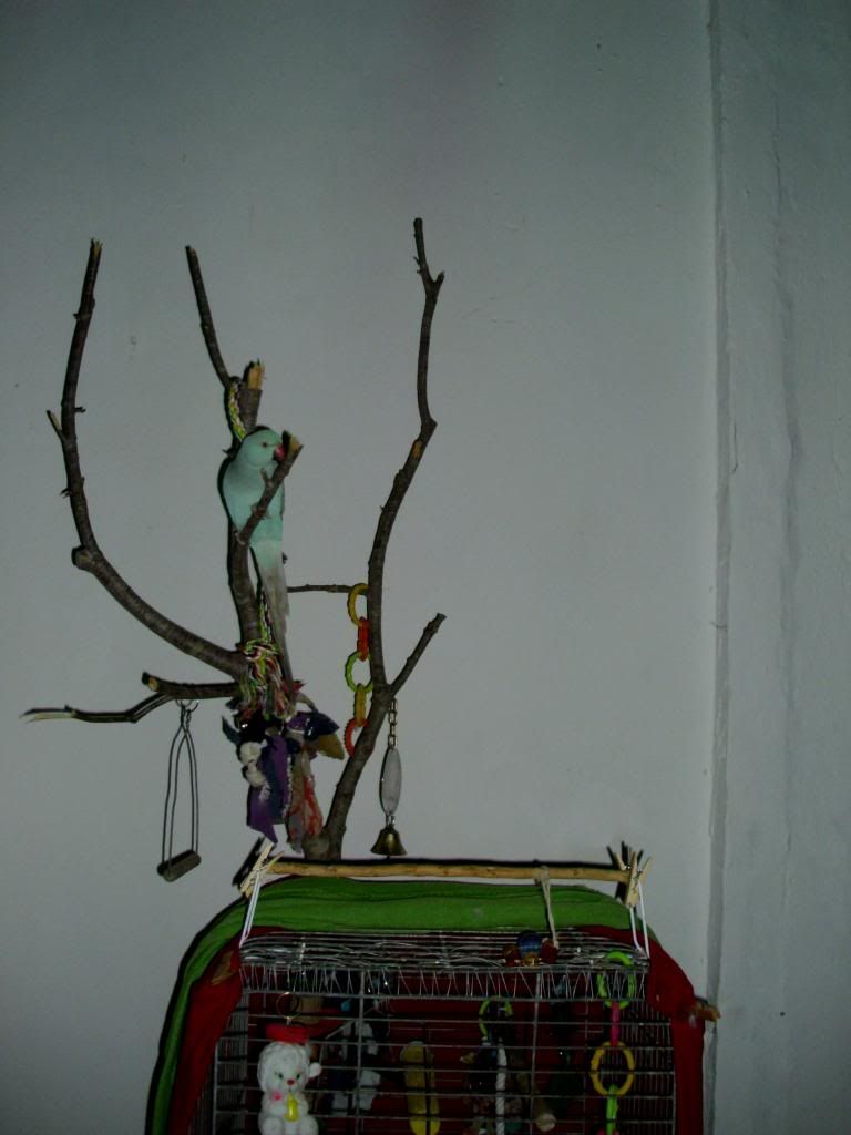 IMG_0465_zpsa127aa0b.jpg