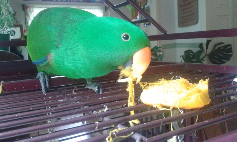 20150913_150740.jpg