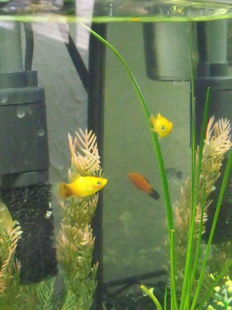 DSCF1022.jpg