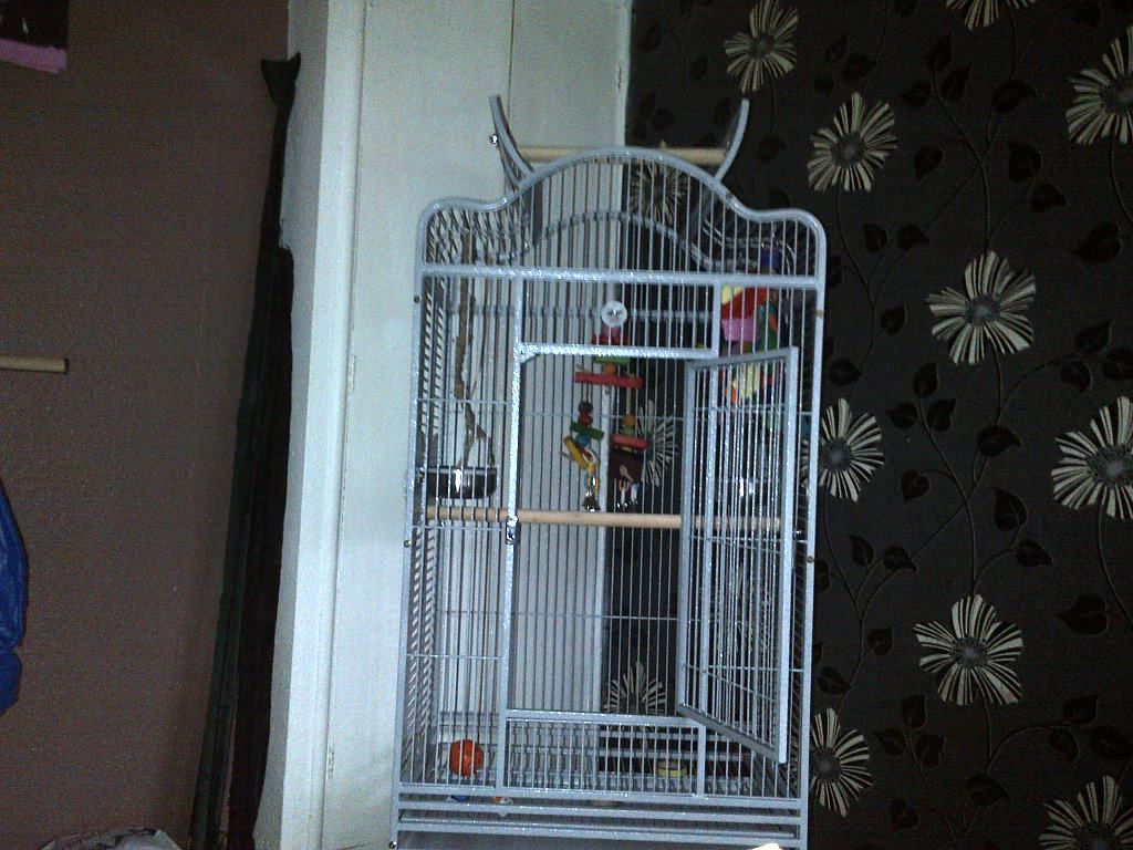 newcage.jpg