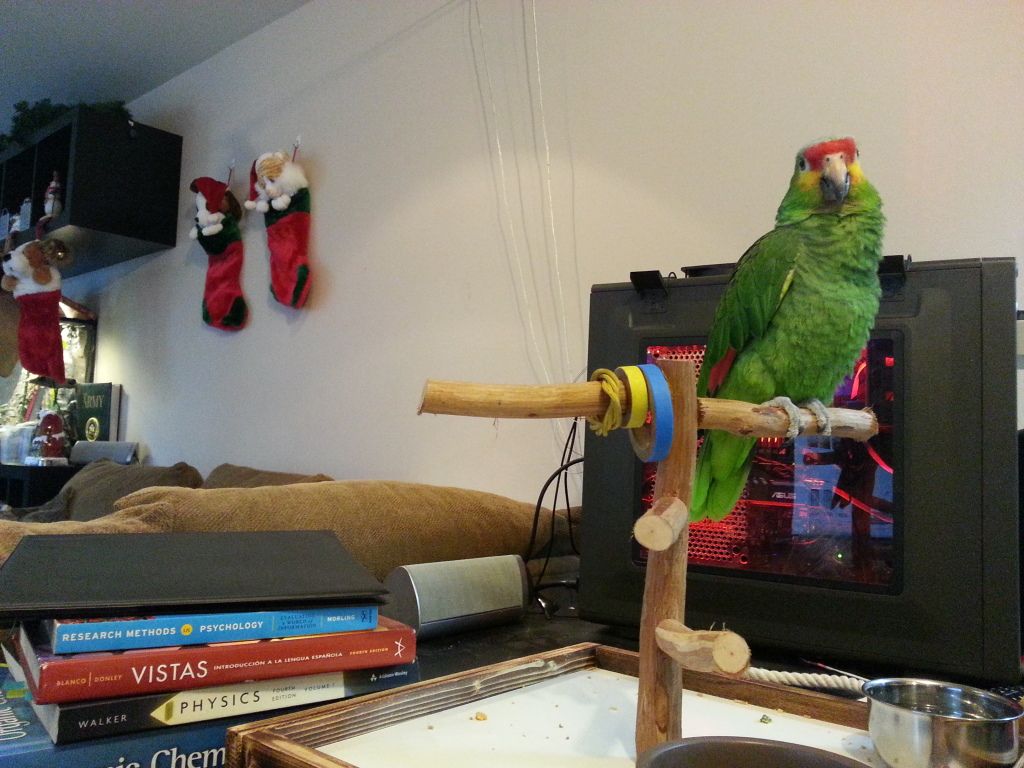 20121218_095350.jpg