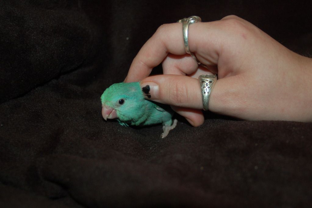 DSC_0014.jpg