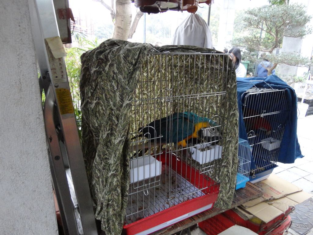 DSC00285_zpsgjqxqkcg.jpg