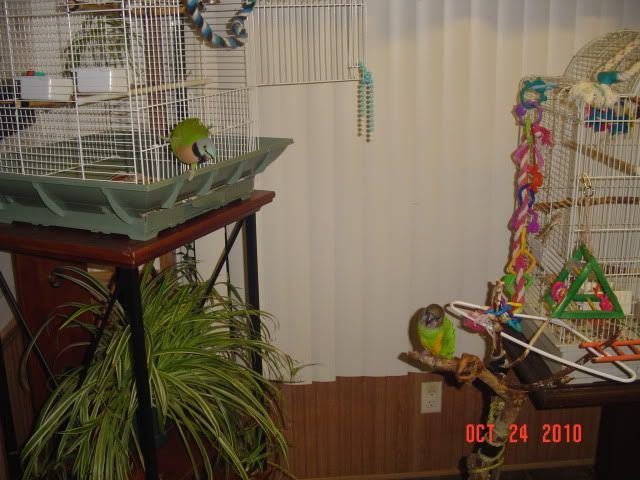 005-5.jpg