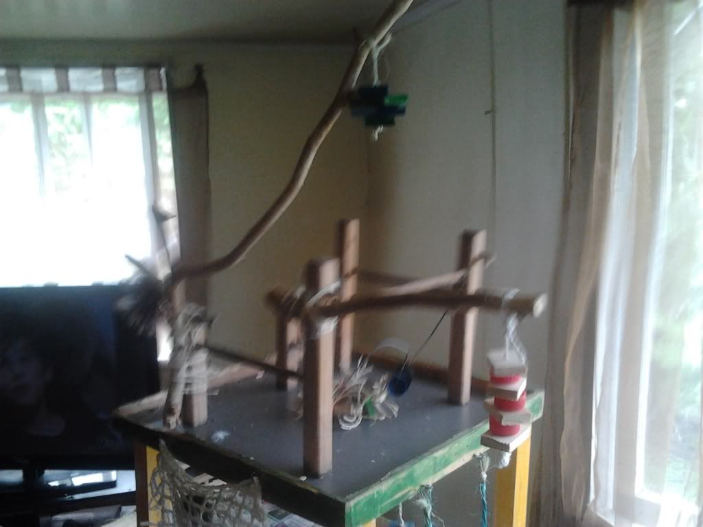 2013-03-19124440_zps2c44ecf9.jpg