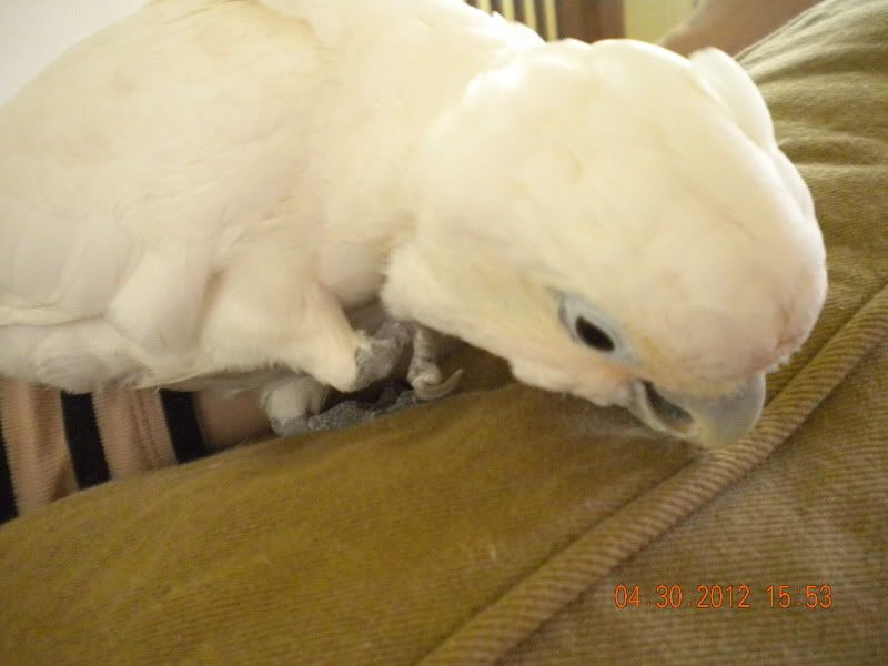 DSCN1629.jpg