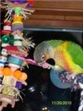 Memo112010-2-1.jpg