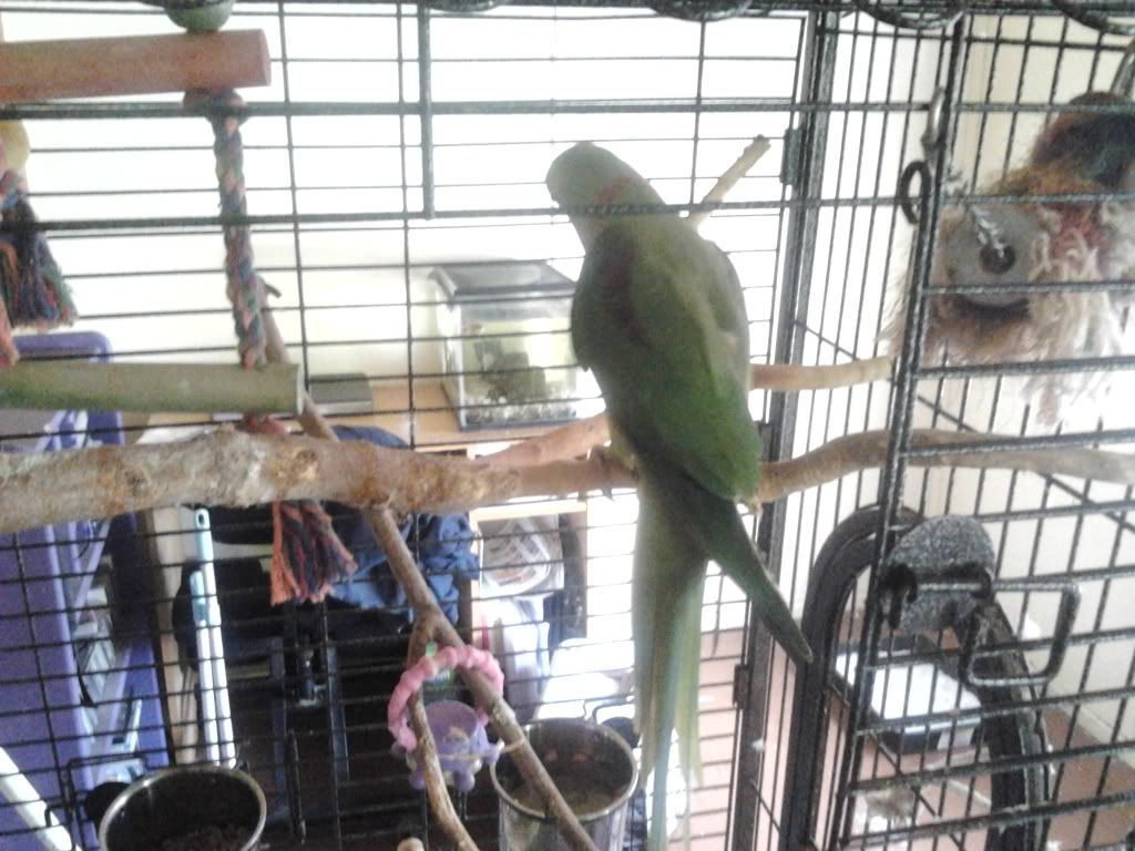 2013-03-22135427_zpsa796524b.jpg