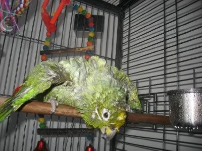 BathTime1.jpg