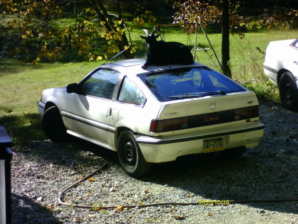IMAG1045.jpg