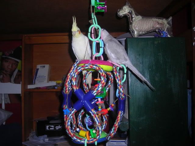 march2nd2007-1064.jpg