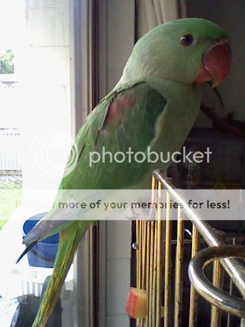 HNI_0099.jpg