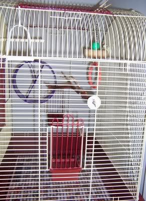 20120502_11.jpg