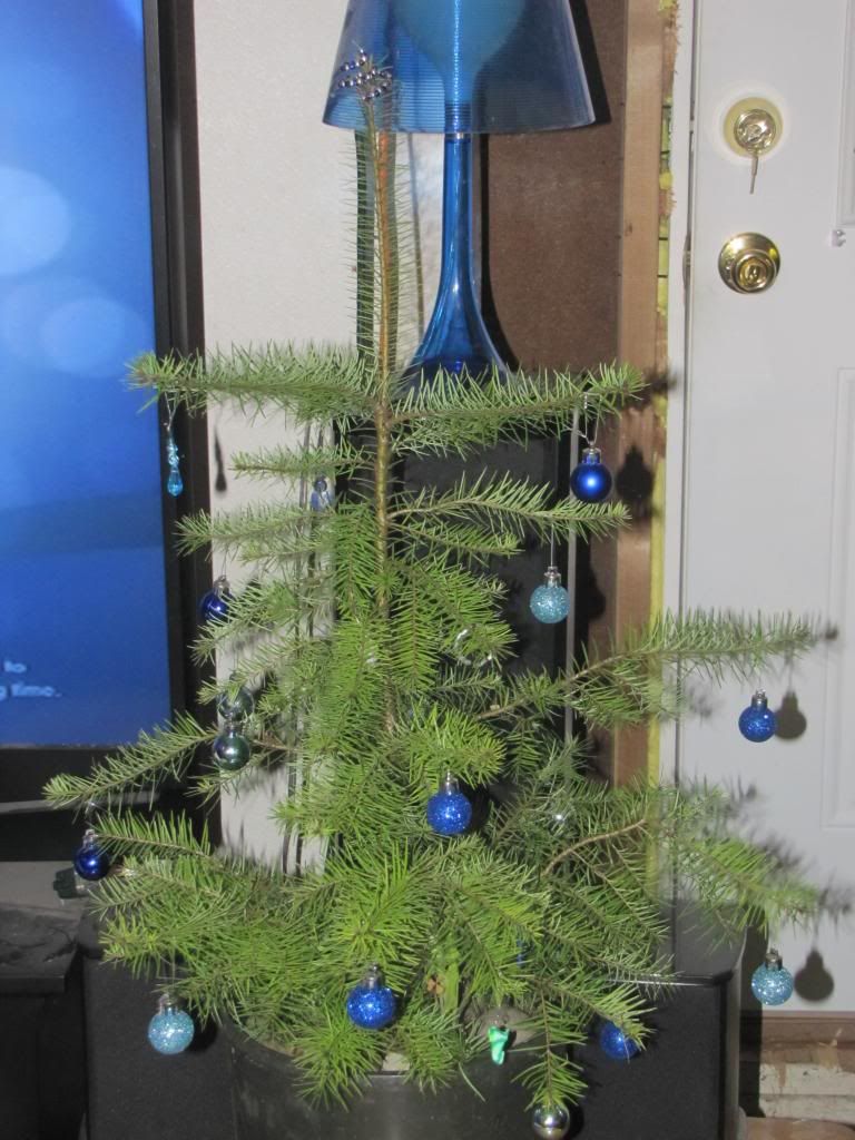 IMG_3274_zps53c256dc.jpg