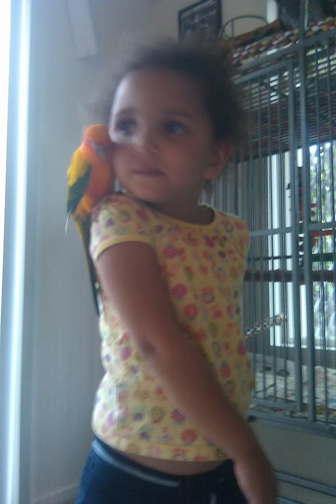 IMAG0174.jpg