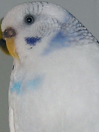 355732ce.jpg