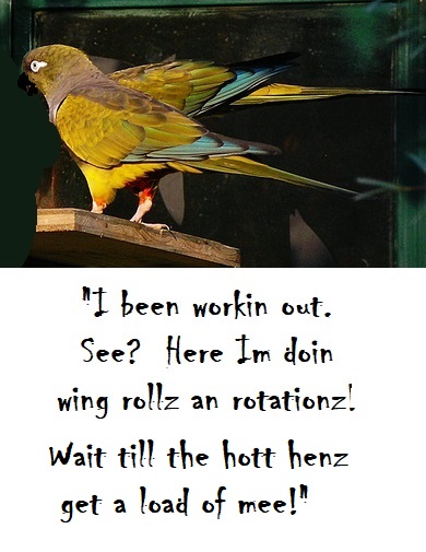 jD5UunH.jpg