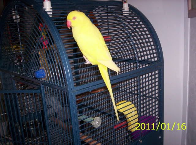 004-4.jpg