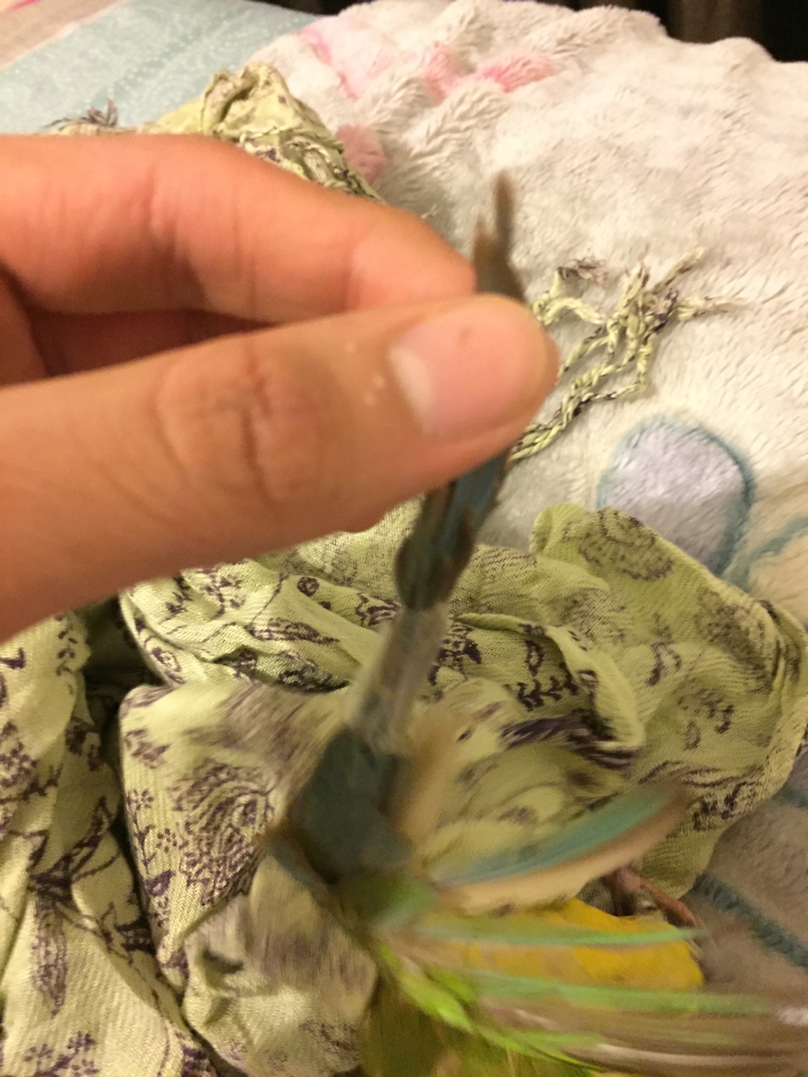 ba56e8db83863b909cf16b34cc128782.jpg
