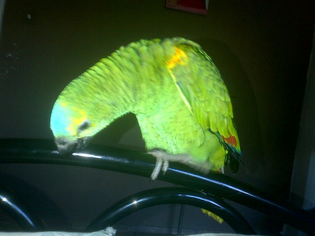 Relaxingonthebedpost.jpg