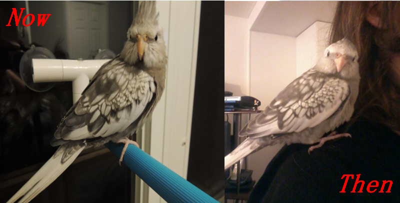 thenandnow.png