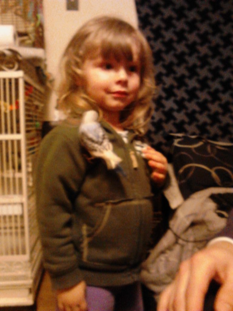 IMG_20120329_182214.jpg