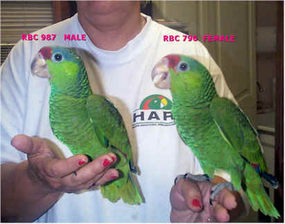 produc6.jpg