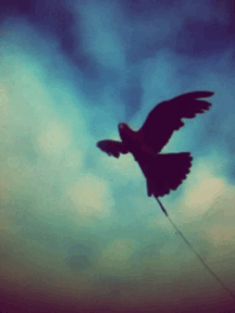 tumblr_mghuutNxrH1r3d3g9o1_250.gif