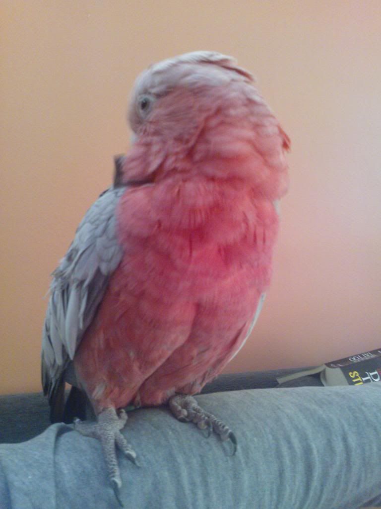 WP_000595.jpg
