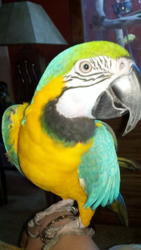 574865523_photobucket_43622_.jpg