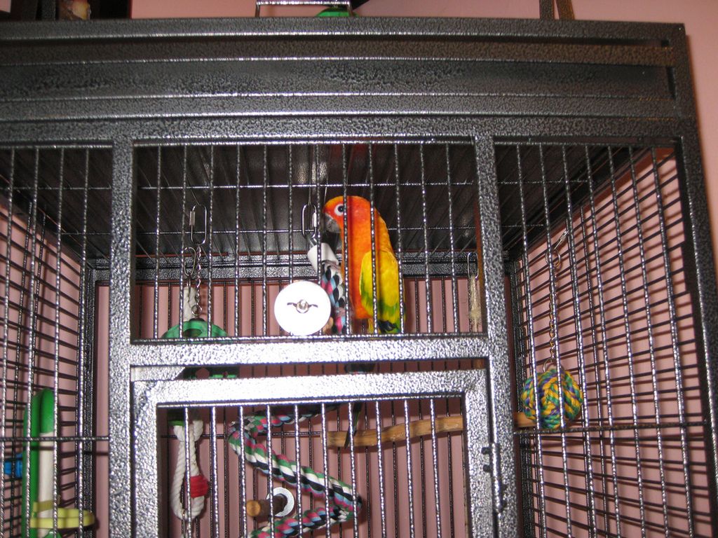 IMG_1619.jpg