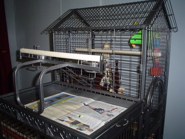 DSC01806.jpg