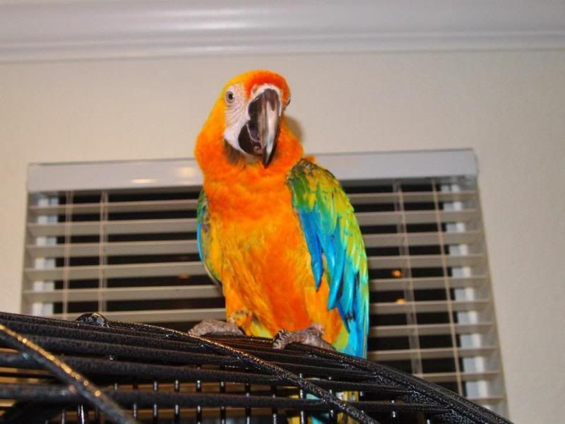 Sunny4.jpg