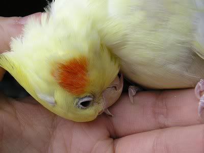 Casey002.jpg