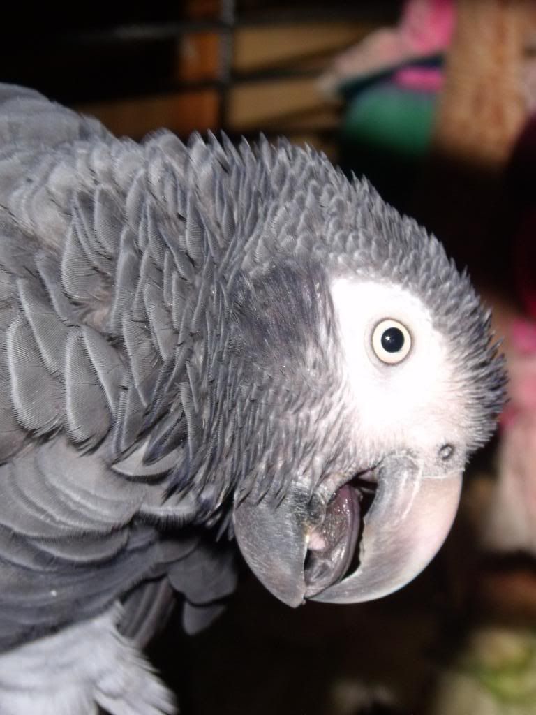 DSCF1114.jpg