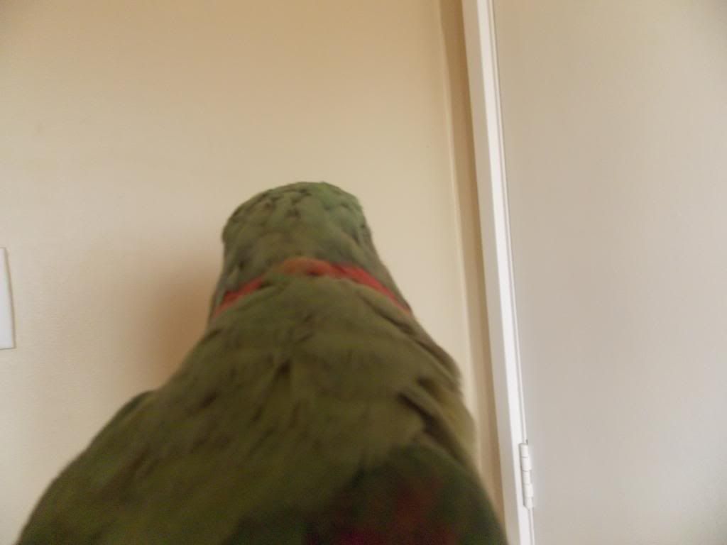 DSCN2051_zpsbfb2e8d3.jpg