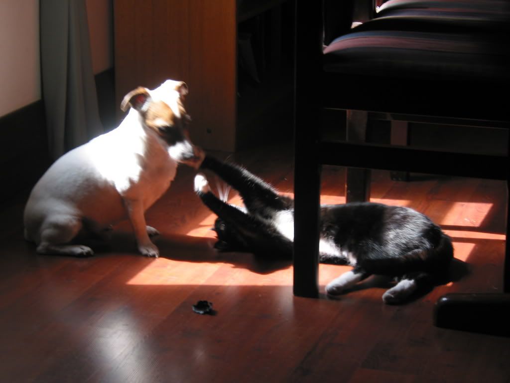 theboys001.jpg
