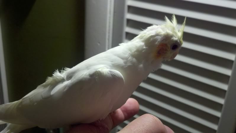 2011-11-18_02-00-10_602.jpg