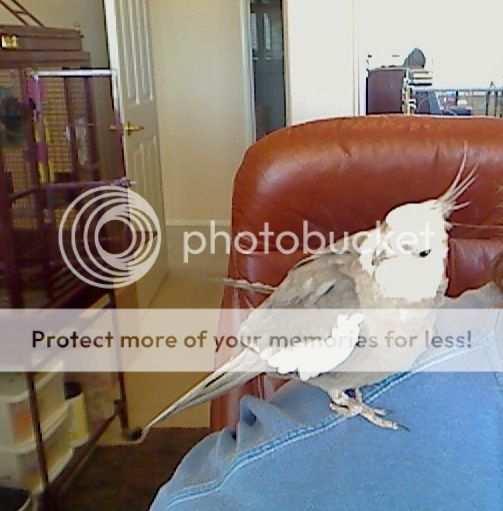 Blanco6-12-12at107PM.jpg