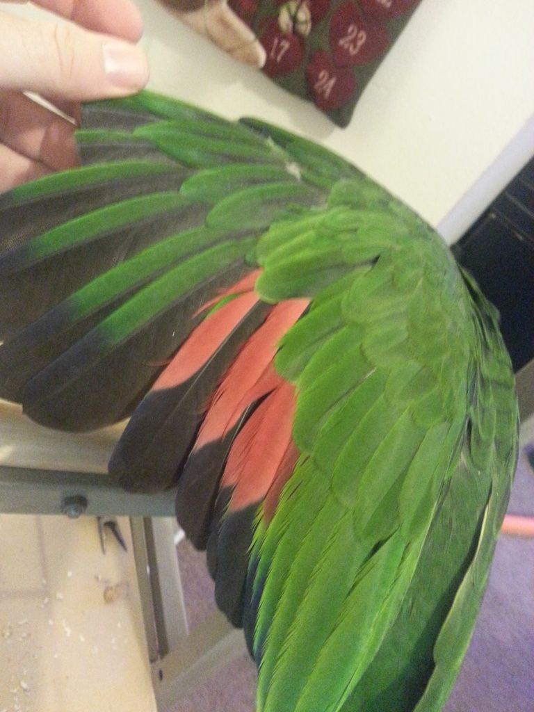 20121217_135003.jpg