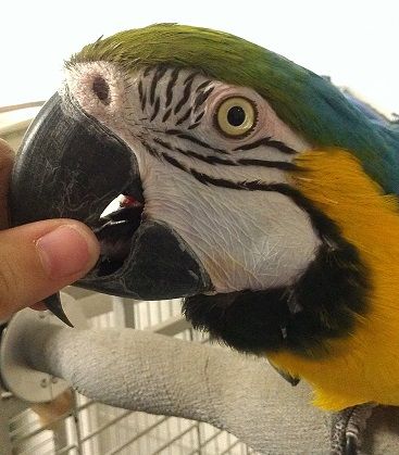 IMAG0905.jpg