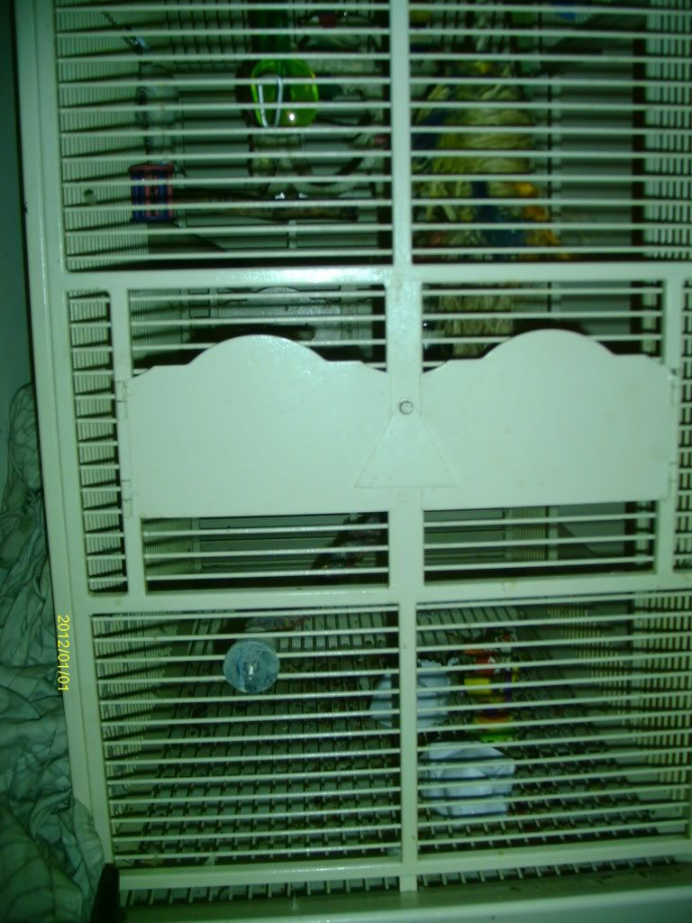 IMAG2001.jpg